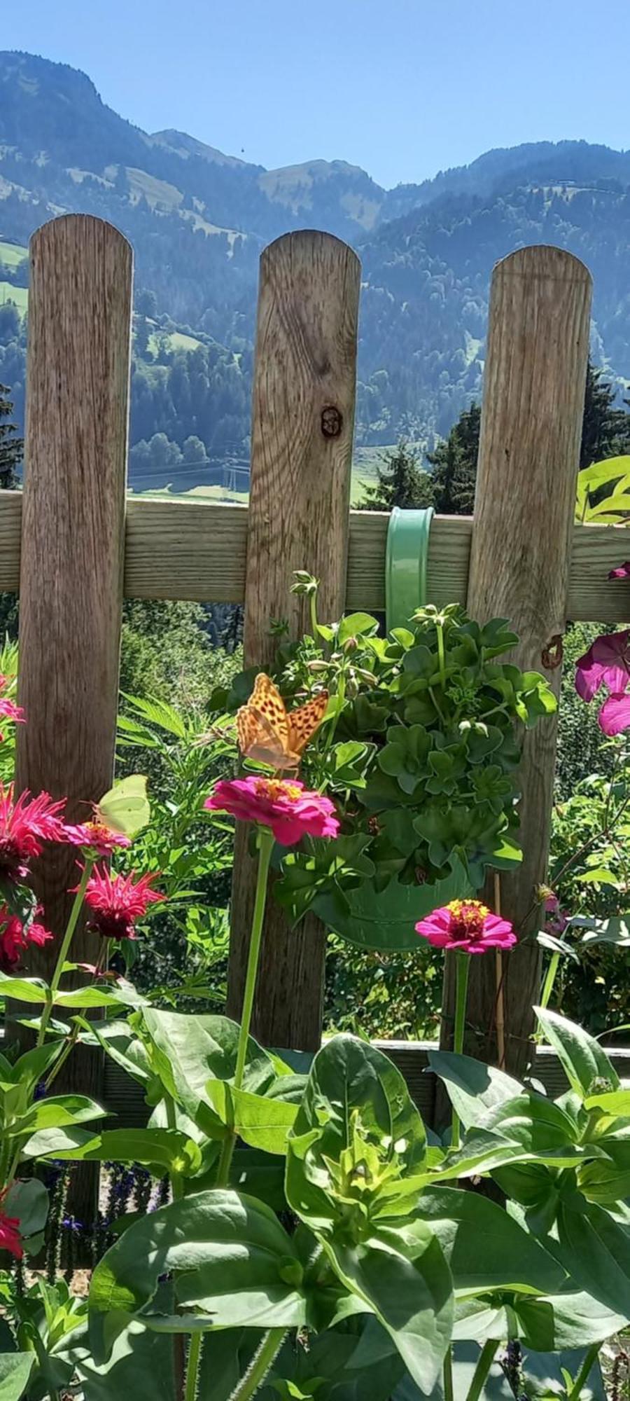 Filzenhof Appartement Kitzbühel Buitenkant foto